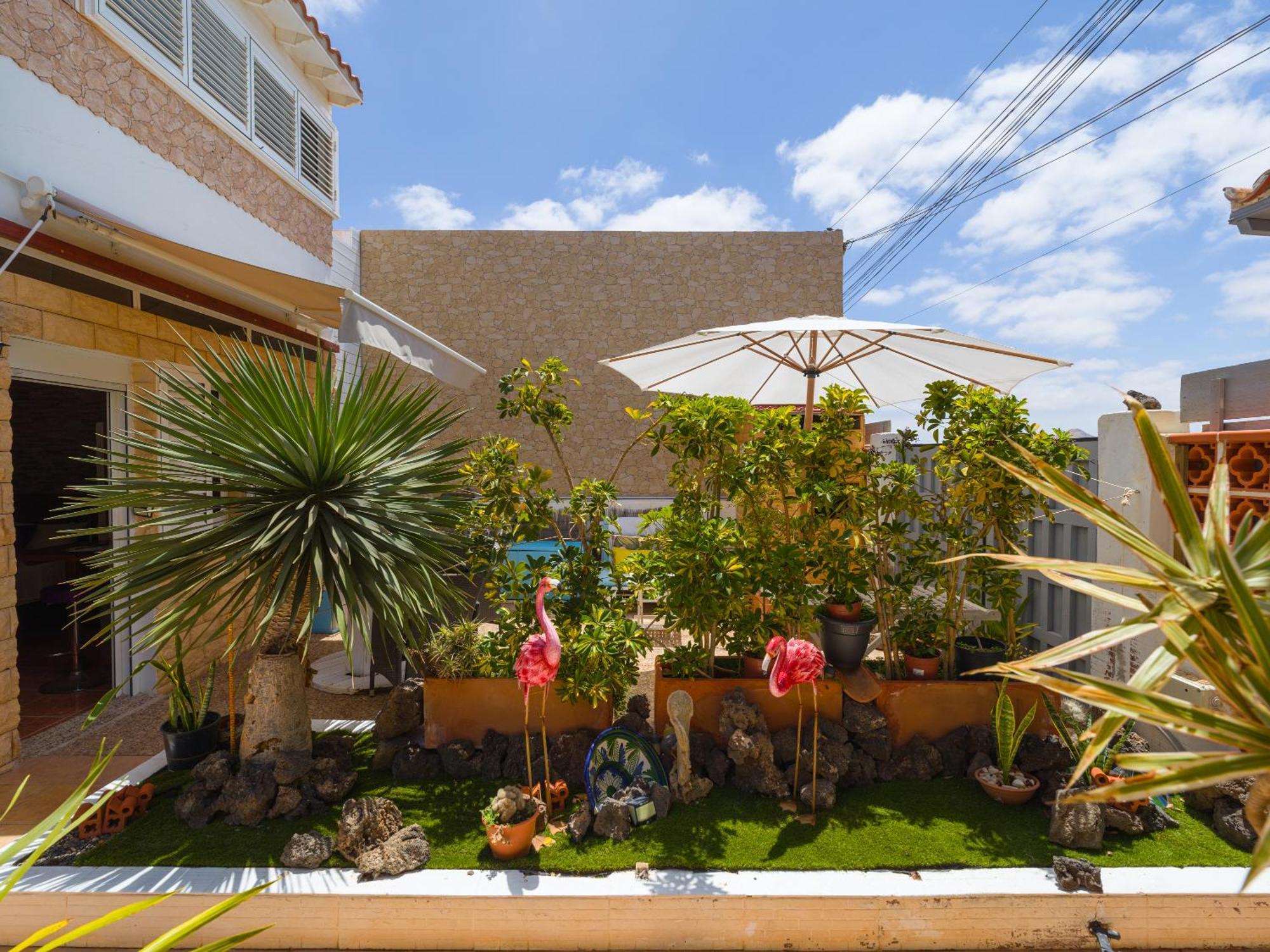 Solo Adultos, Las Tuneras Rooms La Oliva Buitenkant foto