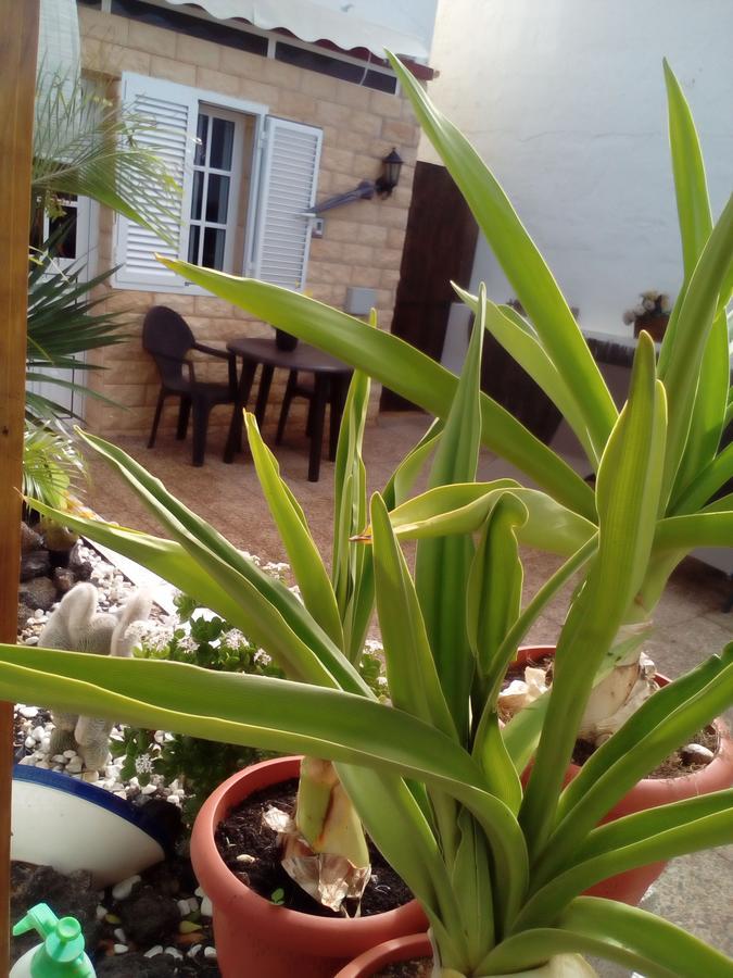 Solo Adultos, Las Tuneras Rooms La Oliva Buitenkant foto